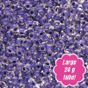 Preciosa Czech Seed Beads 11/0 TERRA INTENSIVE LINED PURPLE