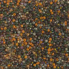 Miyuki ROUND 15/0 Seed Beads CANYON MIX